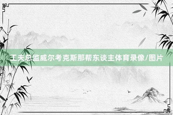 工夫总监威尔考克斯那帮东谈主体育录像/图片