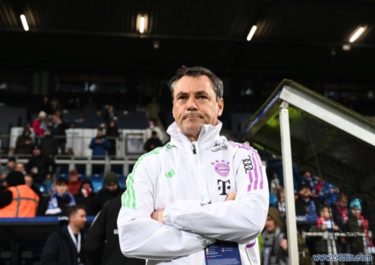 官方:图赫尔长久助教米歇尔斯出任德足协首席诠释注解培训师