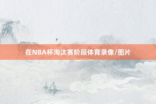 在NBA杯淘汰赛阶段体育录像/图片