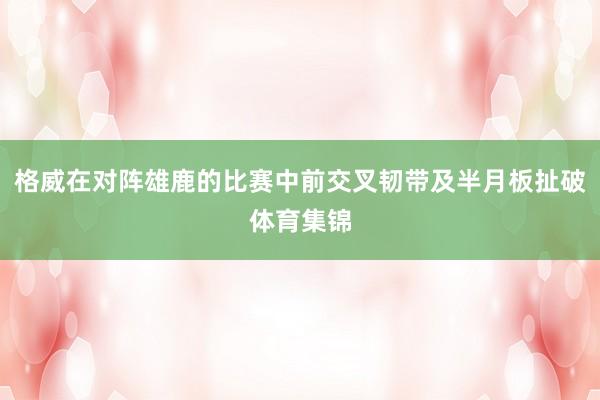 格威在对阵雄鹿的比赛中前交叉韧带及半月板扯破体育集锦