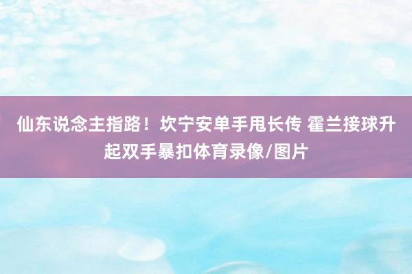 仙东说念主指路!坎宁安单手甩长传 霍兰接球升起双手暴扣体育录像/图片