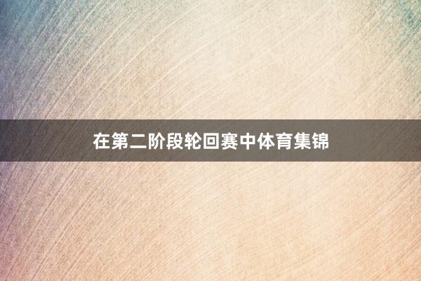 在第二阶段轮回赛中体育集锦