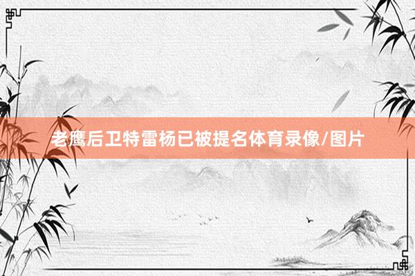 老鹰后卫特雷杨已被提名体育录像/图片