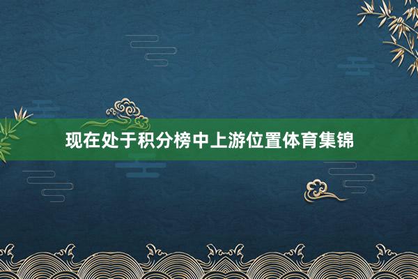 现在处于积分榜中上游位置体育集锦