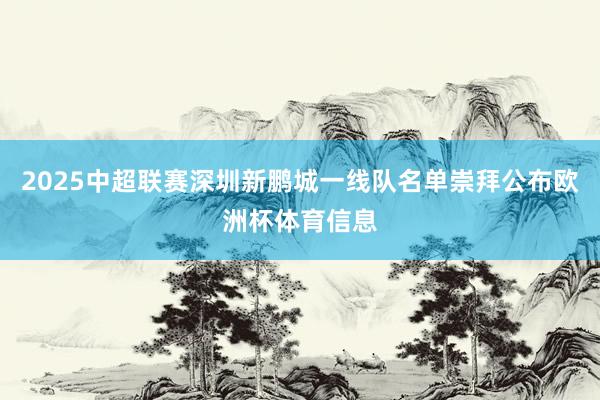 2025中超联赛深圳新鹏城一线队名单崇拜公布欧洲杯体育信息