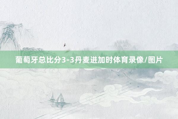 葡萄牙总比分3-3丹麦进加时体育录像/图片