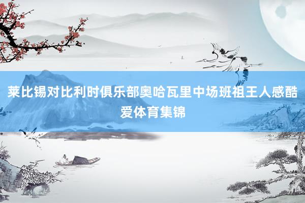 莱比锡对比利时俱乐部奥哈瓦里中场班祖王人感酷爱体育集锦