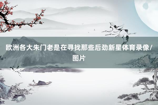 欧洲各大朱门老是在寻找那些后劲新星体育录像/图片