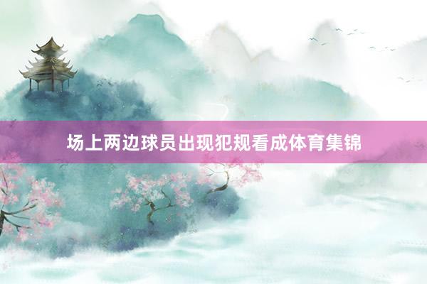 场上两边球员出现犯规看成体育集锦