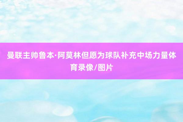曼联主帅鲁本·阿莫林但愿为球队补充中场力量体育录像/图片