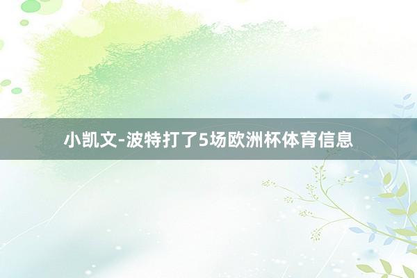 小凯文-波特打了5场欧洲杯体育信息