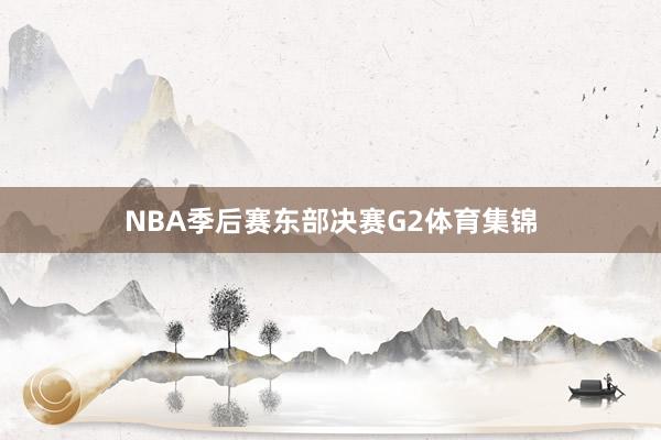 NBA季后赛东部决赛G2体育集锦