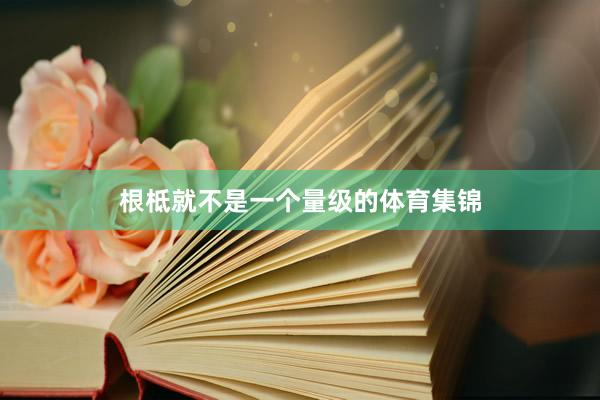 根柢就不是一个量级的体育集锦