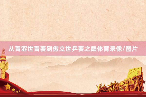 从青涩世青赛到傲立世乒赛之巅体育录像/图片