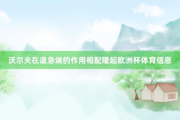 沃尔夫在遑急端的作用相配隆起欧洲杯体育信息