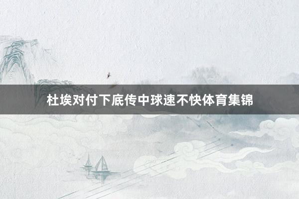 杜埃对付下底传中球速不快体育集锦