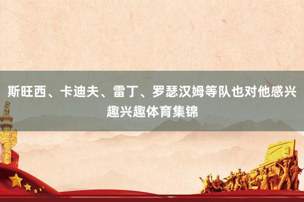 斯旺西、卡迪夫、雷丁、罗瑟汉姆等队也对他感兴趣兴趣体育集锦
