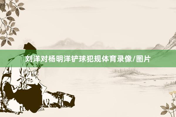 刘洋对杨明洋铲球犯规体育录像/图片