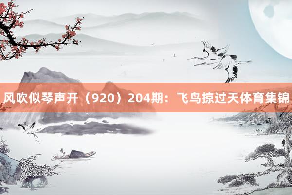 风吹似琴声开（920）　　204期：飞鸟掠过天体育集锦