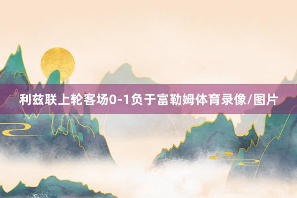利兹联上轮客场0-1负于富勒姆体育录像/图片
