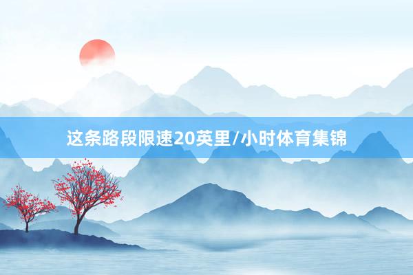 这条路段限速20英里/小时体育集锦