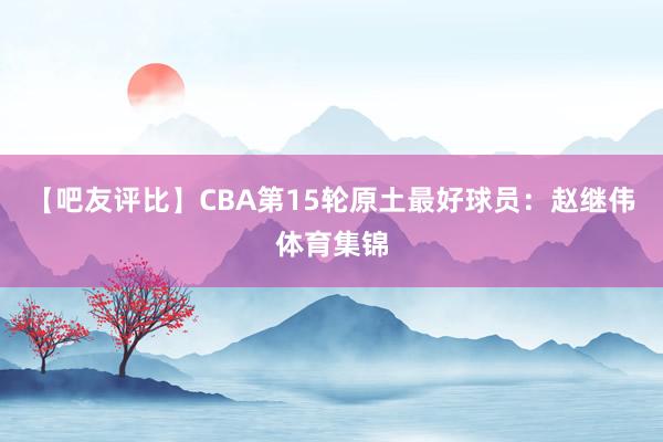 【吧友评比】CBA第15轮原土最好球员：赵继伟体育集锦