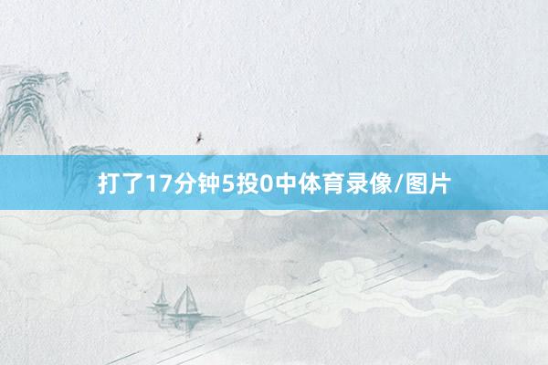 打了17分钟5投0中体育录像/图片