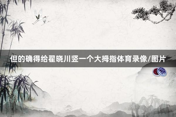 但的确得给翟晓川竖一个大拇指体育录像/图片