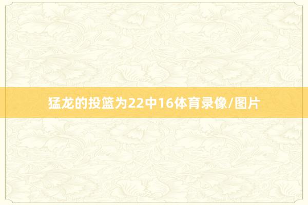 猛龙的投篮为22中16体育录像/图片