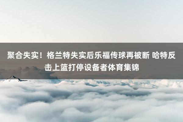 聚合失实！格兰特失实后乐福传球再被断 哈特反击上篮打停设备者
