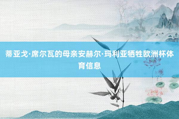蒂亚戈·席尔瓦的母亲安赫尔·玛利亚牺牲欧洲杯体育信息