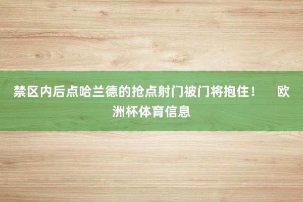 禁区内后点哈兰德的抢点射门被门将抱住！    欧洲杯体育信息