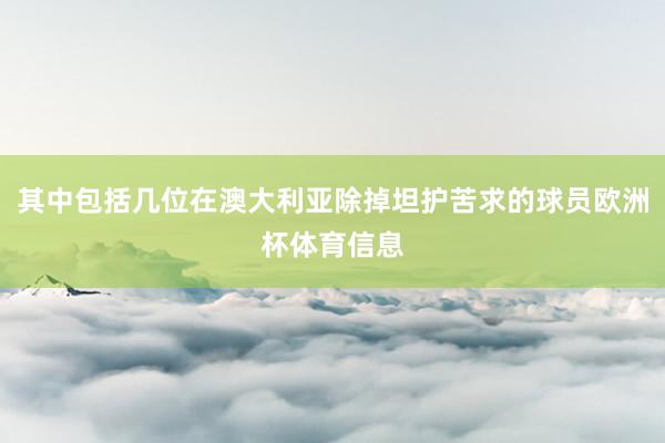 其中包括几位在澳大利亚除掉坦护苦求的球员欧洲杯体育信息