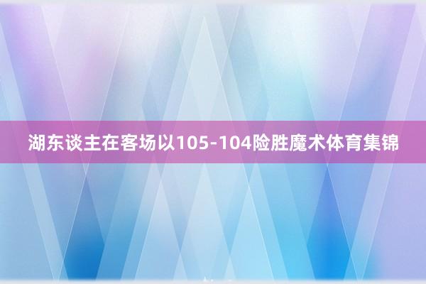 湖东谈主在客场以105-104险胜魔术体育集锦