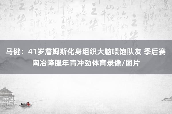 马健：41岁詹姆斯化身组织大脑喂饱队友 季后赛陶冶降服年青冲