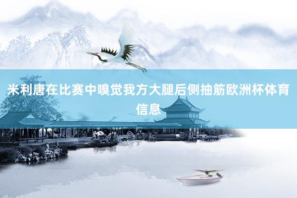 米利唐在比赛中嗅觉我方大腿后侧抽筋欧洲杯体育信息