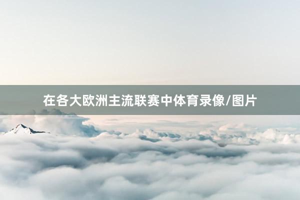 在各大欧洲主流联赛中体育录像/图片