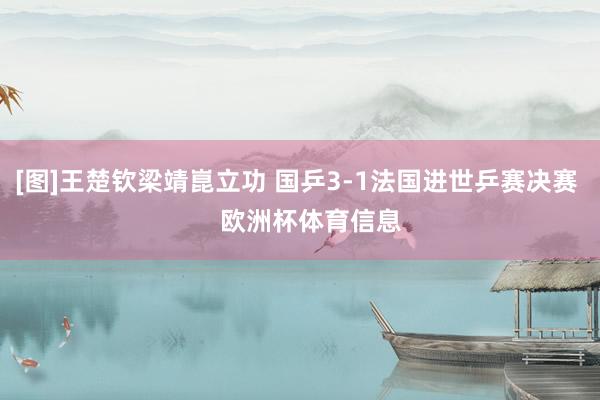 [图]王楚钦梁靖崑立功 国乒3-1法国进世乒赛决赛    欧