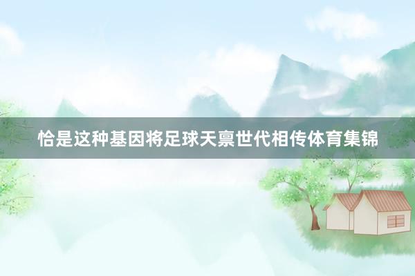 恰是这种基因将足球天禀世代相传体育集锦