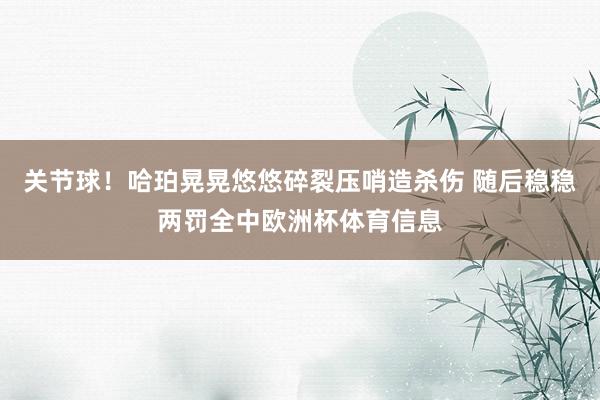关节球！哈珀晃晃悠悠碎裂压哨造杀伤 随后稳稳两罚全中欧洲杯体