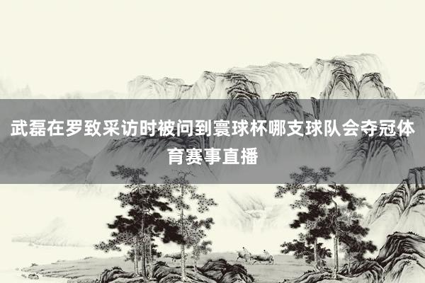 武磊在罗致采访时被问到寰球杯哪支球队会夺冠体育赛事直播