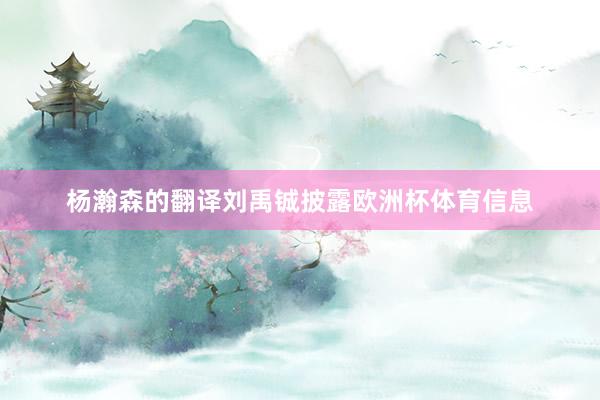 杨瀚森的翻译刘禹铖披露欧洲杯体育信息