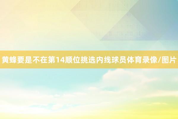 黄蜂要是不在第14顺位挑选内线球员体育录像/图片