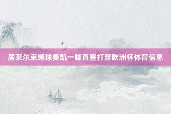 居莱尔束缚球奏凯一脚直塞打穿欧洲杯体育信息